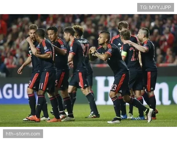 尼斯逼抢体系 尼斯逼抢体系