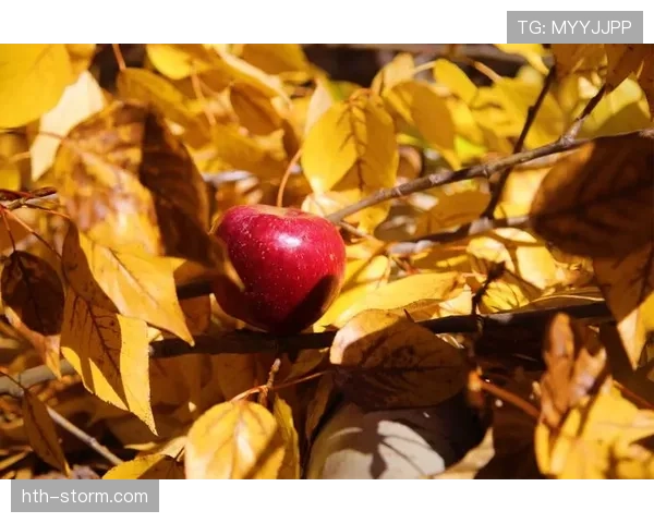 我还在拼团，刷到杨舒予的购物车瞬间怀疑人生